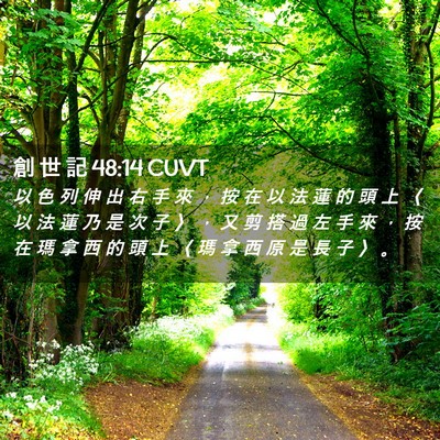 Picture 02 - 創 世 記 48:14 CUVT - 以 色 列 伸 出 右 手 來 ， 按 在 以 - Bible Verse Picture