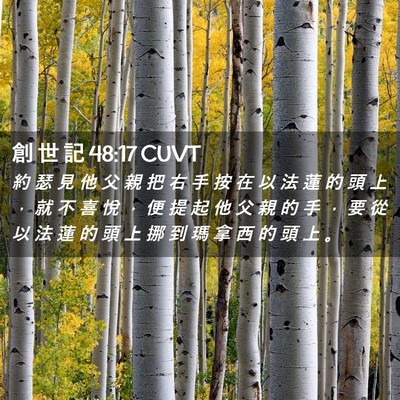 Picture 02 - 創 世 記 48:17 CUVT - 約 瑟 見 他 父 親 把 右 手 按 在 以 - Bible Verse Picture