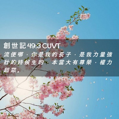 Picture 02 - 創 世 記 49:3 CUVT - 流 便 哪 ， 你 是 我 的 長 子 ， 是 - Bible Verse Picture
