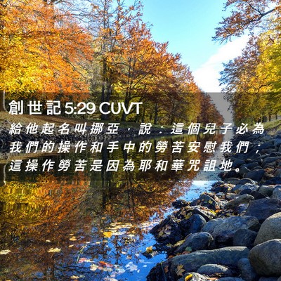 Picture 02 - 創 世 記 5:29 CUVT - 給 他 起 名 叫 挪 亞 ， 說 ： 這 個 - Bible Verse Picture