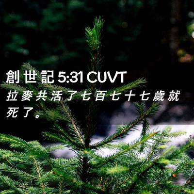 Picture 02 - 創 世 記 5:31 CUVT - 拉 麥 共 活 了 七 百 七 十 七 歲 就 - Bible Verse Picture