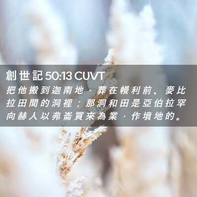 Picture 02 - 創 世 記 50:13 CUVT - 把 他 搬 到 迦 南 地 ， 葬 在 幔 利 - Bible Verse Picture