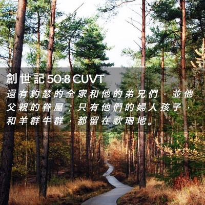 Picture 02 - 創 世 記 50:8 CUVT - 還 有 約 瑟 的 全 家 和 他 的 弟 兄 - Bible Verse Picture