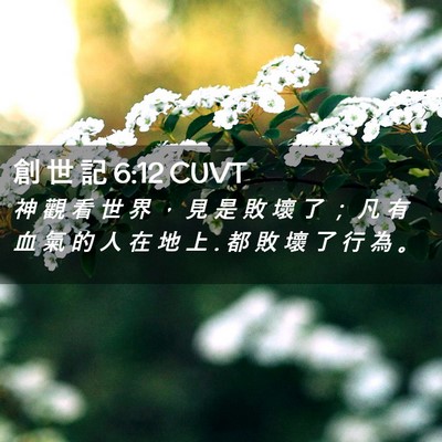 Picture 02 - 創 世 記 6:12 CUVT - 神 觀 看 世 界 ， 見 是 敗 壞 了 ； - Bible Verse Picture