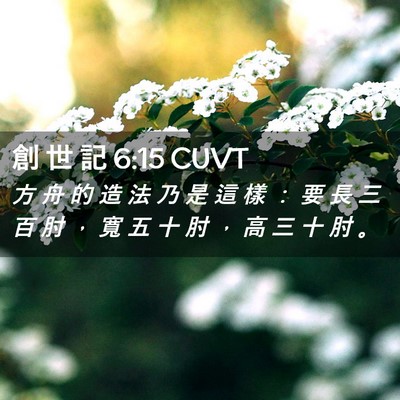 Picture 02 - 創 世 記 6:15 CUVT - 方 舟 的 造 法 乃 是 這 樣 ： 要 長 - Bible Verse Picture