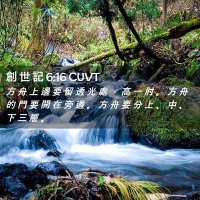 Picture 02 - 創 世 記 6:16 CUVT - 方 舟 上 邊 要 留 透 光 處 ， 高 一 - Bible Verse Picture