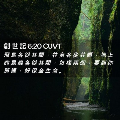 Picture 02 - 創 世 記 6:20 CUVT - 飛 鳥 各 從 其 類 ， 牲 畜 各 從 其 - Bible Verse Picture