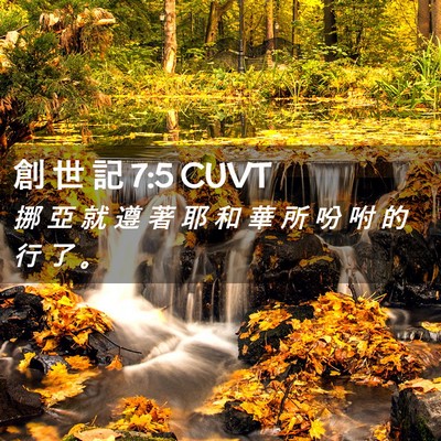 Picture 02 - 創 世 記 7:5 CUVT - 挪 亞 就 遵 著 耶 和 華 所 吩 咐 的 - Bible Verse Picture