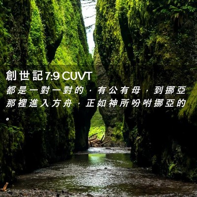 Picture 02 - 創 世 記 7:9 CUVT - 都 是 一 對 一 對 的 ， 有 公 有 母 - Bible Verse Picture