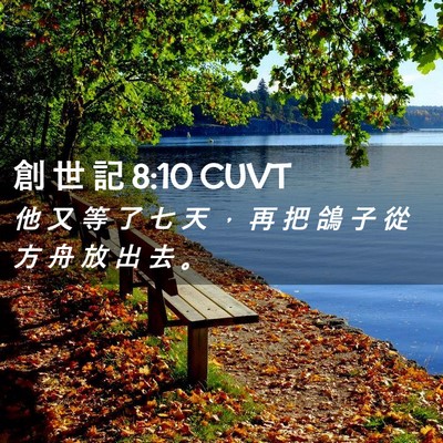 Picture 02 - 創 世 記 8:10 CUVT - 他 又 等 了 七 天 ， 再 把 鴿 子 從 - Bible Verse Picture