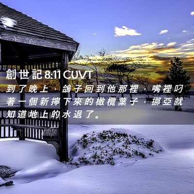 Picture 02 - 創 世 記 8:11 CUVT - 到 了 晚 上 ， 鴿 子 回 到 他 那 裡 - Bible Verse Picture