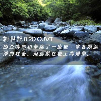 Picture 02 - 創 世 記 8:20 CUVT - 挪 亞 為 耶 和 華 築 了 一 座 壇 ， - Bible Verse Picture