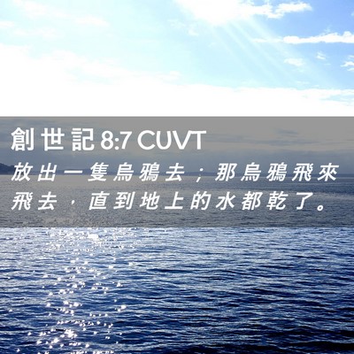 Picture 02 - 創 世 記 8:7 CUVT - 放 出 一 隻 烏 鴉 去 ； 那 烏 鴉 飛 - Bible Verse Picture