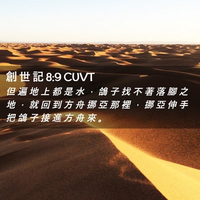 Picture 02 - 創 世 記 8:9 CUVT - 但 遍 地 上 都 是 水 ， 鴿 子 找 不 - Bible Verse Picture