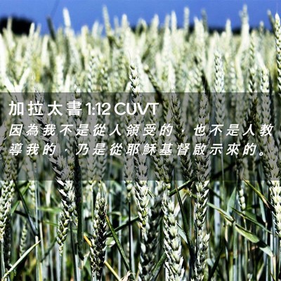 Picture 02 - 加 拉 太 書 1:12 CUVT - 因 為 我 不 是 從 人 領 受 的 ， 也 - Bible Verse Picture