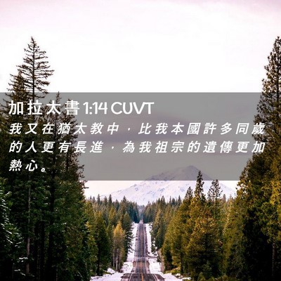 Picture 02 - 加 拉 太 書 1:14 CUVT - 我 又 在 猶 太 教 中 ， 比 我 本 國 - Bible Verse Picture