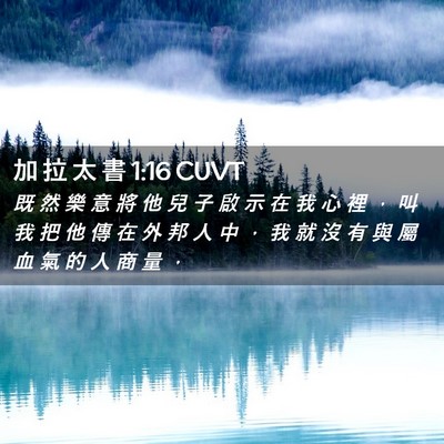 Picture 02 - 加 拉 太 書 1:16 CUVT - 既 然 樂 意 將 他 兒 子 啟 示 在 我 - Bible Verse Picture