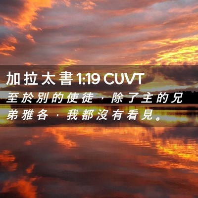 Picture 02 - 加 拉 太 書 1:19 CUVT - 至 於 別 的 使 徒 ， 除 了 主 的 兄 - Bible Verse Picture