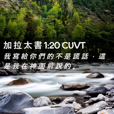 Picture 02 - 加 拉 太 書 1:20 CUVT - 我 寫 給 你 們 的 不 是 謊 話 ， 這 - Bible Verse Picture