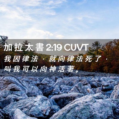 Picture 02 - 加 拉 太 書 2:19 CUVT - 我 因 律 法 ， 就 向 律 法 死 了 ， - Bible Verse Picture