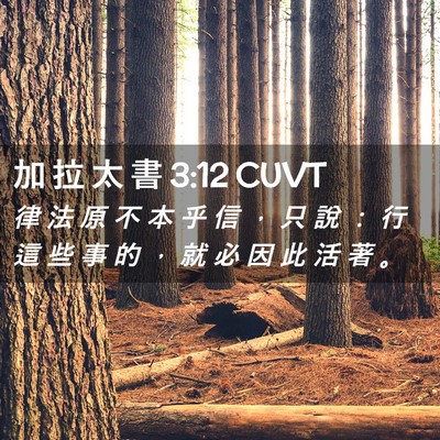 Picture 02 - 加 拉 太 書 3:12 CUVT - 律 法 原 不 本 乎 信 ， 只 說 ： 行 - Bible Verse Picture