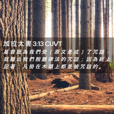 Picture 02 - 加 拉 太 書 3:13 CUVT - 基 督 既 為 我 們 受 （ 原 文 是 成 - Bible Verse Picture