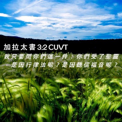 Picture 02 - 加 拉 太 書 3:2 CUVT - 我 只 要 問 你 們 這 一 件 ： 你 們 - Bible Verse Picture