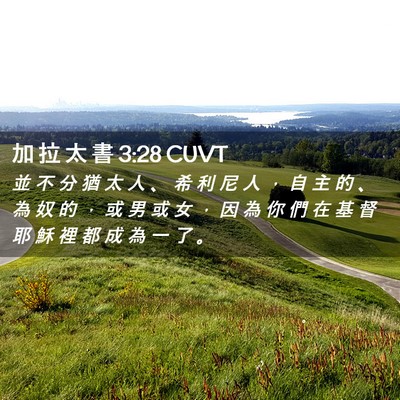 Picture 02 - 加 拉 太 書 3:28 CUVT - 並 不 分 猶 太 人 、 希 利 尼 人 ， - Bible Verse Picture
