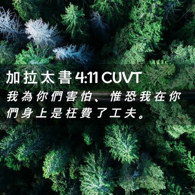 Picture 02 - 加 拉 太 書 4:11 CUVT - 我 為 你 們 害 怕 、 惟 恐 我 在 你 - Bible Verse Picture