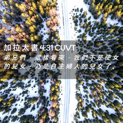 Picture 02 - 加 拉 太 書 4:31 CUVT - 弟 兄 們 ， 這 樣 看 來 ， 我 們 不 - Bible Verse Picture