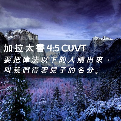Picture 02 - 加 拉 太 書 4:5 CUVT - 要 把 律 法 以 下 的 人 贖 出 來 ， - Bible Verse Picture