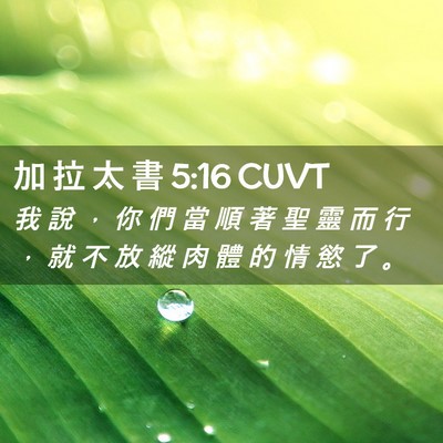 Picture 02 - 加 拉 太 書 5:16 CUVT - 我 說 ， 你 們 當 順 著 聖 靈 而 行 - Bible Verse Picture