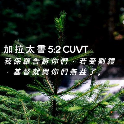 Picture 02 - 加 拉 太 書 5:2 CUVT - 我 保 羅 告 訴 你 們 ， 若 受 割 禮 - Bible Verse Picture