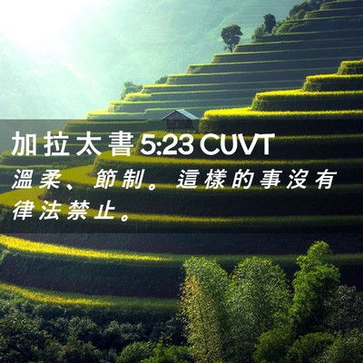 Picture 02 - 加 拉 太 書 5:23 CUVT - 溫 柔 、 節 制 。 這 樣 的 事 沒 有 - Bible Verse Picture