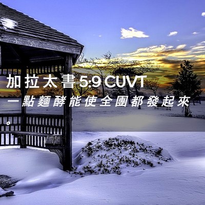 Picture 02 - 加 拉 太 書 5:9 CUVT - 一 點 麵 酵 能 使 全 團 都 發 起 來 - Bible Verse Picture