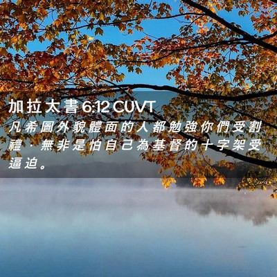 Picture 02 - 加 拉 太 書 6:12 CUVT - 凡 希 圖 外 貌 體 面 的 人 都 勉 強 - Bible Verse Picture