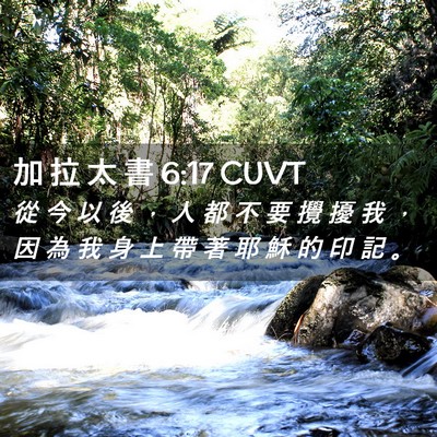 Picture 02 - 加 拉 太 書 6:17 CUVT - 從 今 以 後 ， 人 都 不 要 攪 擾 我 - Bible Verse Picture