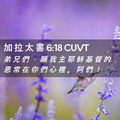 Picture 02 - 加 拉 太 書 6:18 CUVT - 弟 兄 們 ， 願 我 主 耶 穌 基 督 的 - Bible Verse Picture