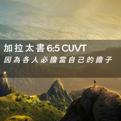 Picture 02 - 加 拉 太 書 6:5 CUVT - 因 為 各 人 必 擔 當 自 己 的 擔 子 - Bible Verse Picture
