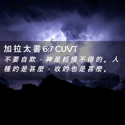 Picture 02 - 加 拉 太 書 6:7 CUVT - 不 要 自 欺 ， 神 是 輕 慢 不 得 的 - Bible Verse Picture