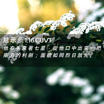 Picture 02 - 启 示 录 1:16 CUVT - 他 右 手 拿 著 七 星 ， 從 他 口 中 - Bible Verse Picture