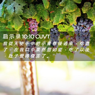 Picture 02 - 启 示 录 10:10 CUVT - 我 從 天 使 手 中 把 小 書 卷 接 過 - Bible Verse Picture