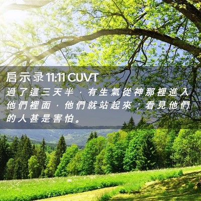 Picture 02 - 启 示 录 11:11 CUVT - 過 了 這 三 天 半 ， 有 生 氣 從 神 - Bible Verse Picture
