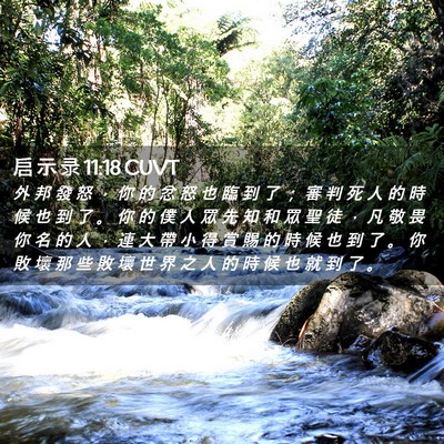 Picture 02 - 启 示 录 11:18 CUVT - 外 邦 發 怒 ， 你 的 忿 怒 也 臨 到 - Bible Verse Picture