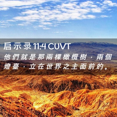 Picture 02 - 启 示 录 11:4 CUVT - 他 們 就 是 那 兩 棵 橄 欖 樹 ， 兩 - Bible Verse Picture
