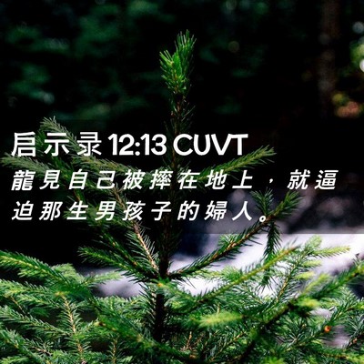 Picture 02 - 启 示 录 12:13 CUVT - 龍 見 自 己 被 摔 在 地 上 ， 就 逼 - Bible Verse Picture