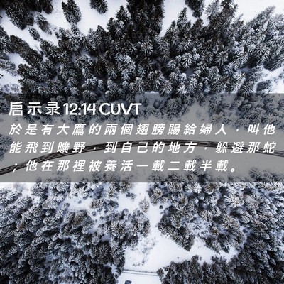 Picture 02 - 启 示 录 12:14 CUVT - 於 是 有 大 鷹 的 兩 個 翅 膀 賜 給 - Bible Verse Picture