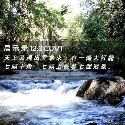 Picture 02 - 启 示 录 12:3 CUVT - 天 上 又 現 出 異 象 來 ： 有 一 條 - Bible Verse Picture