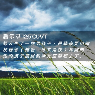 Picture 02 - 启 示 录 12:5 CUVT - 婦 人 生 了 一 個 男 孩 子 ， 是 將 - Bible Verse Picture