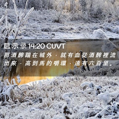 Picture 02 - 启 示 录 14:20 CUVT - 那 酒 醡 踹 在 城 外 ， 就 有 血 從 - Bible Verse Picture